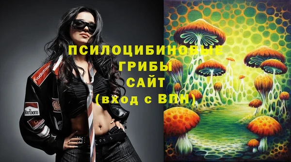 СК Абинск