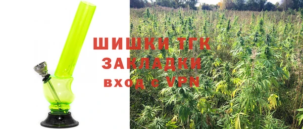 СК Абинск
