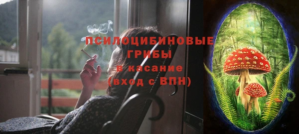 apvp Алзамай