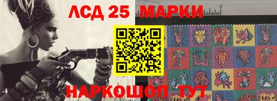 крисы Новодвинск