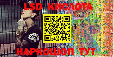 крисы Новодвинск
