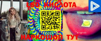 МДПВ Новозыбков