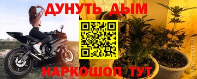 крисы Новодвинск