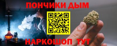 крисы Новодвинск