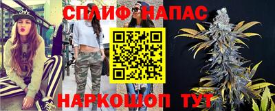 МДПВ Новозыбков