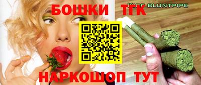 крисы Новодвинск