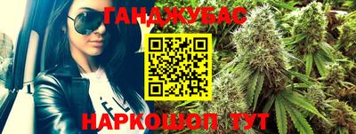 МДПВ Новозыбков
