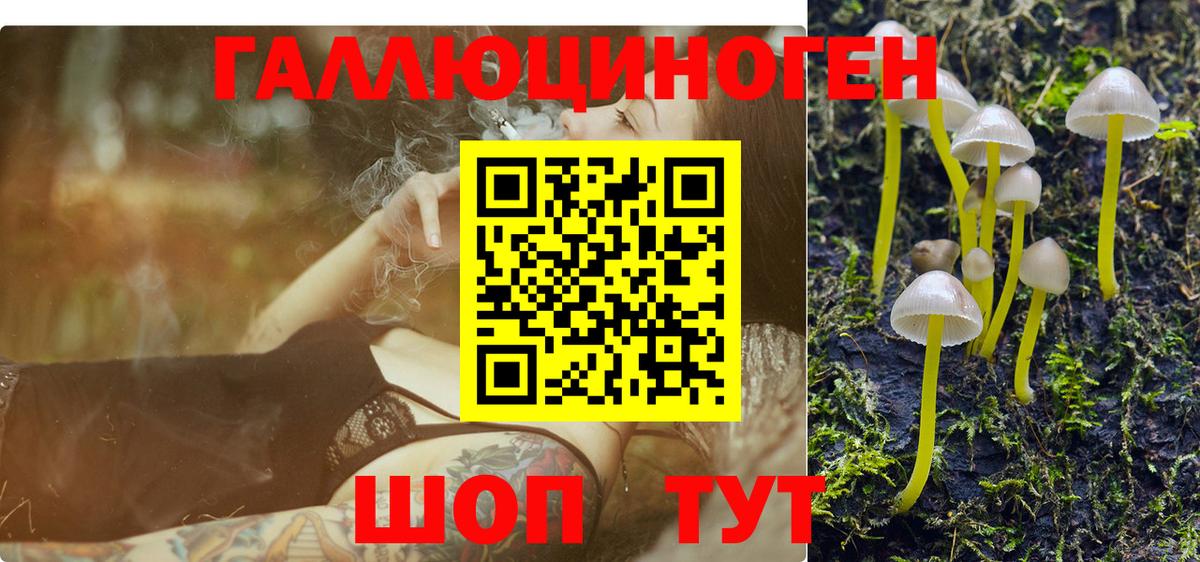 Псилоцибиновые грибы GOLDEN TEACHER Усть-Илимск